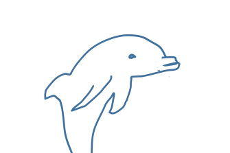 Dolphin sketch