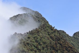 ferrer paris project