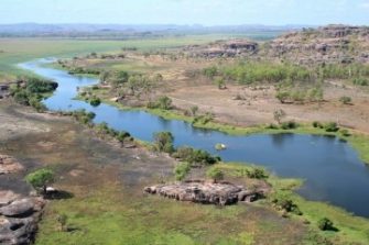 Platypus habitat river