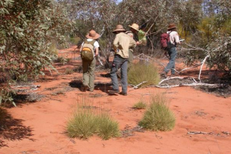 scientists in red desert bush