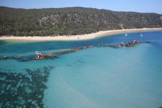 2014 waterbird survey 7