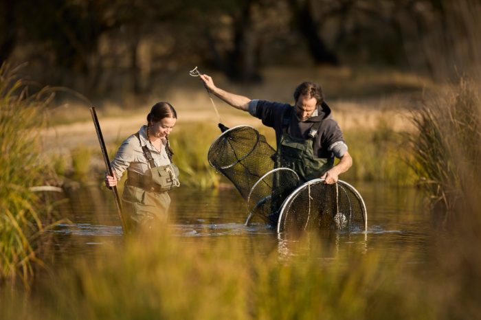 UNSW platypus rewilding research program.