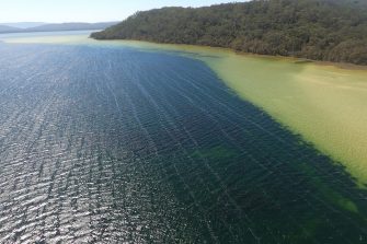 Estuarine lake and vegetated coast