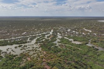 Aerial view of Narran Lakes wetlands with water and vegetation, and a cloudy sky in the distance