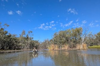 Person in canoe from behind in water with trees on bank