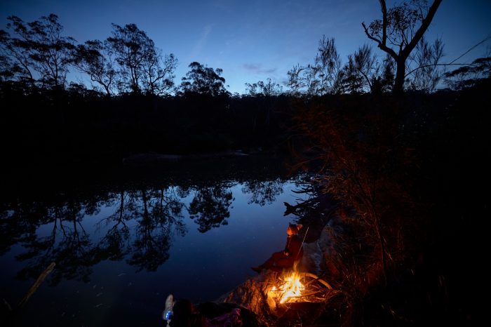 Capturing platypus for release at the Royal National Park Park, Sydney NSW