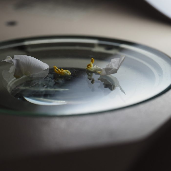 2025_09_past_projects