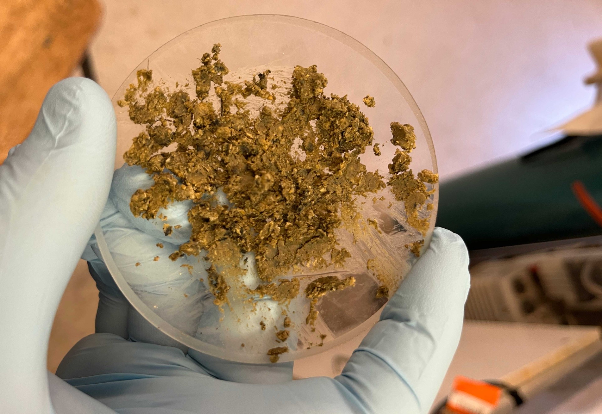 Crushed debris of the beach balls that washed up on sydney beaches