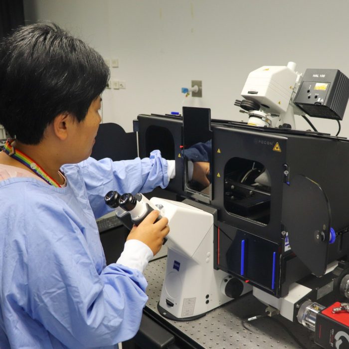 Ying Yang, a post-doctoral researcher at UNSW, using a microscope