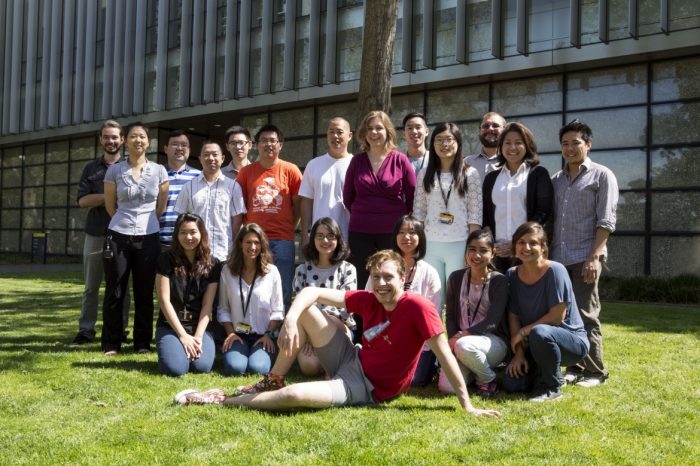 The Stenzel group in 2014