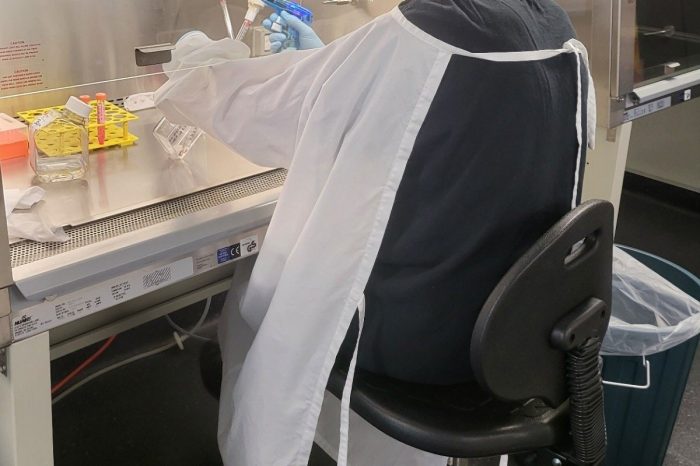 SMSRG Gallery 20240417