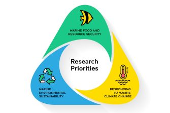 CMSI Research Priorities graphic
