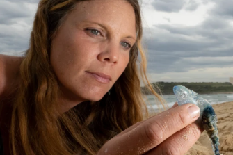 Photo of Dr Amandine Schaeffer on the beach looking at a bluebottle