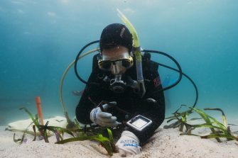 Richard Woodgett scuba diving for Operation Posidonia