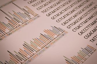 Scientists view DNA as a series of letters