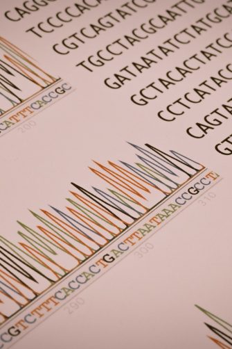 Scientists view DNA as a series of letters