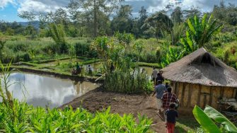 Row of people walking between hut and fish farm pond in the tropics