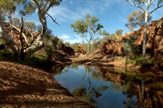 landscape of river and trees in Western Australia