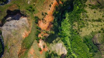 birdeye view of green terrain taken on a drone