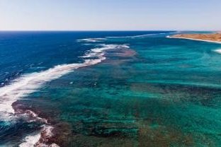 Ben Carless profile portrait