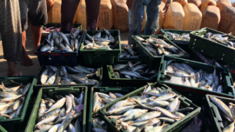 fisheries-and-coastal-management