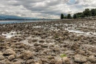 James Wheeler profile portrait