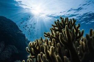 Global Water Institute