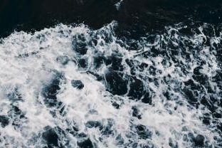 Elena Saharova staff portrait