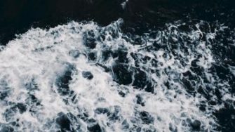 Elena Saharova staff portrait