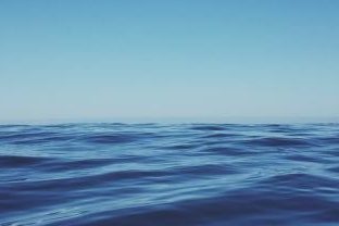 Greg Becker profile portrait