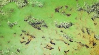 Aerial view of body of water