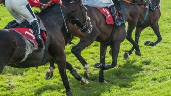 horse racing big pic