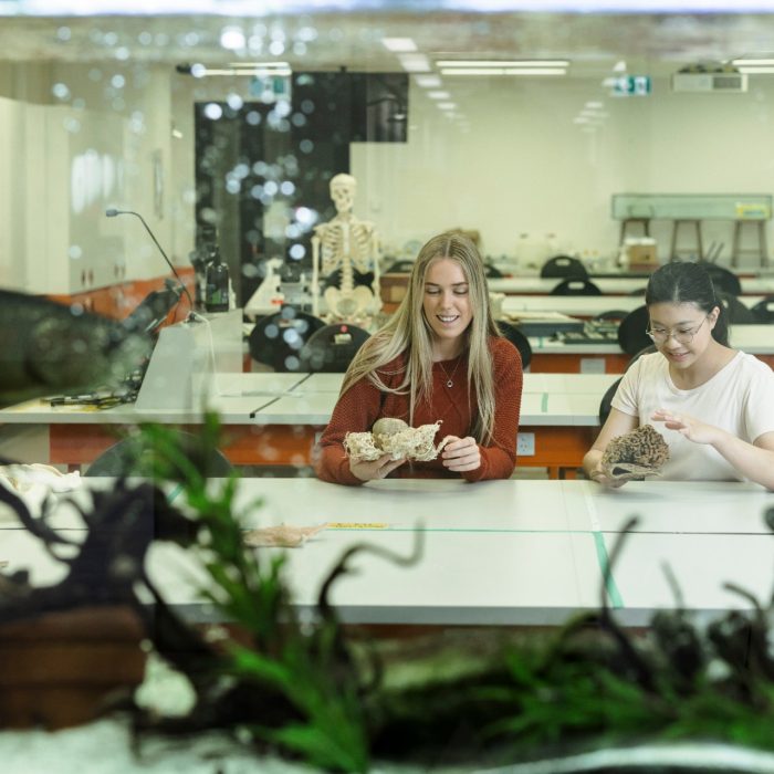 Students learning in the Science facilities at the UNSW Kensington campus