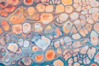 Molecular & cell biology