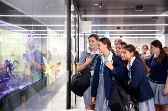 School students looking through glass