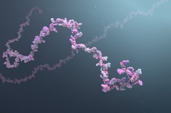 Digital image of RNA
