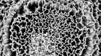 black and white crystal lattice