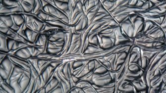 fibers cellulose acetate under microscope