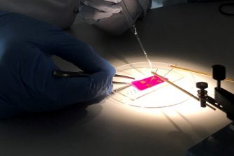 Polymer-Research-in-Therapeutics-Group