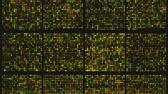 Genetic microarray