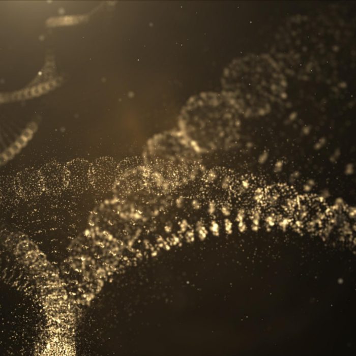 Digitally generated virtual DNA sequence
