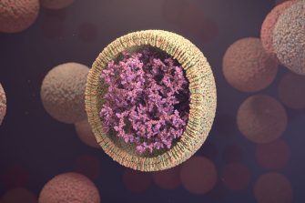 A cutaway illustration revealing mRNA of a vaccine delivered within an envelope of lipid molecules.