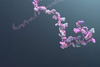Digital image of RNA