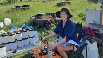 Human impacts and multiple stressors