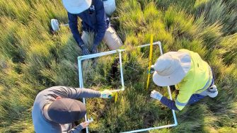 SEACS team researchers