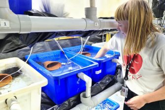 Marine researcher staff learning about marine life