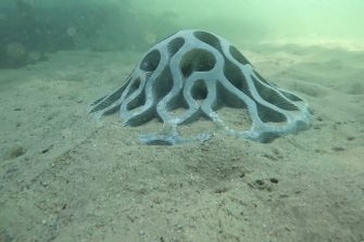 Habitat modules from Reef Design Lab