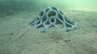 Habitat modules from Reef Design Lab