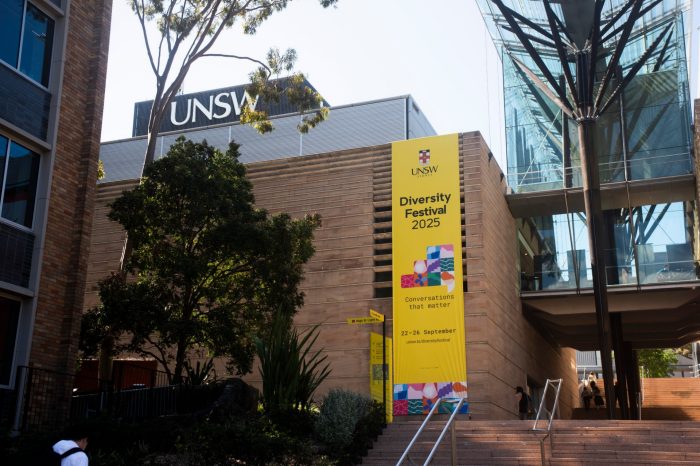 Diversity Festival 2025 Images