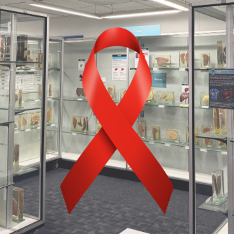 Stigma in the bloodstream: HIV’s legacy in medicine, law and society